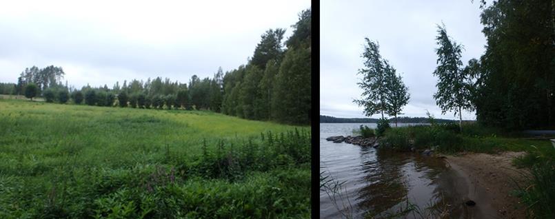 Alueella on maanomistajan rantasauna, talousrakennus ja veneranta. Alueella on kaavoittaja tehnyt maastokäynnin 30.8.2018.