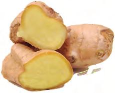 Rynkeby