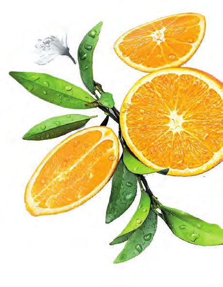me PE 180 vrk Premium Orange juice 1 l 1004723 me 12 x 1 l, EUR 52 me