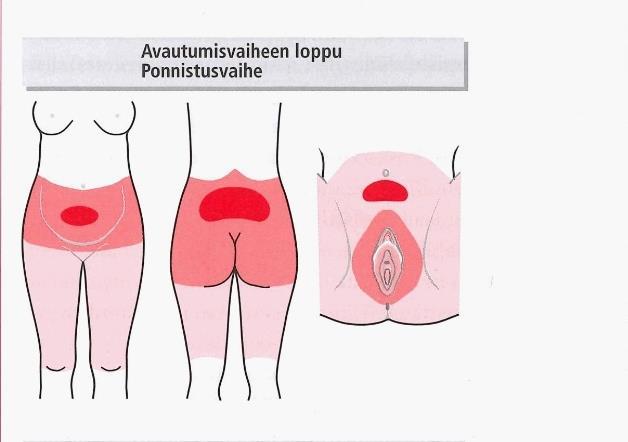 4.1.1 Ponnistusvaiheen kipu 16 KUVA 2.