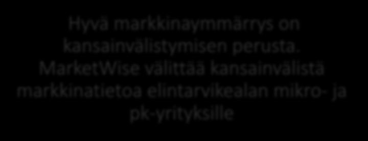 MarketWise välittää kansainvälistä