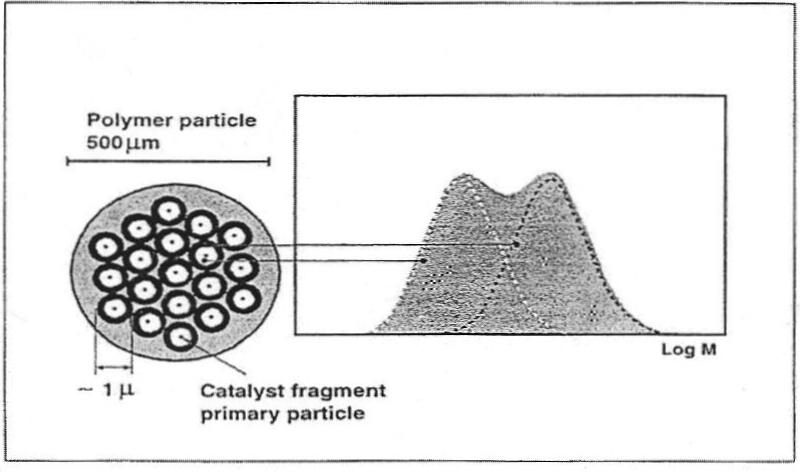 4 KUVIO 2. Bimodaalisen polymeerin rakenne (Arjoranta 2006, 13.