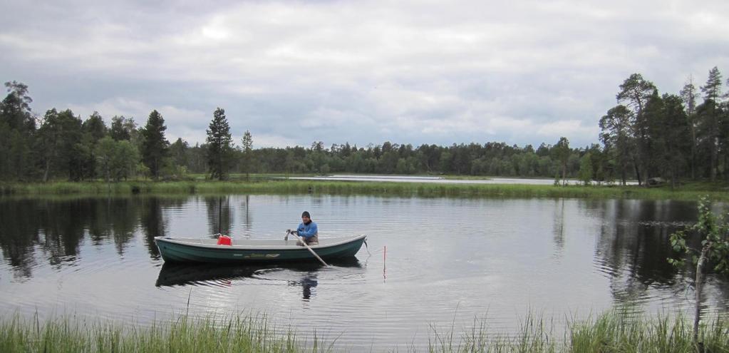 Inarijärven säännöstelyn kehittämisen vaikutukset vesikasvillisuuteen Seurantatutkimus 2017 Jukka Ylikörkkö Lapin
