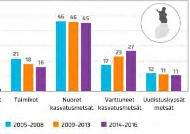 Pohjoisen metsäbiomassoille on kysyntää jatkossa Hyödyntämättömän ainespuupotentiaalin kysyntä tavoittaa suurimman kestävän hakkuukertymän, mikäli osakaan suunnitelluista investoinneista realisoituu