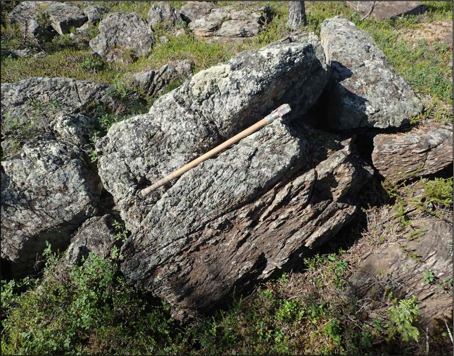 GEOLOGIAN TUTKIMUSKESKUS Alueellinen geotieto (ALG) 22 Kuva 12. Ultramafiitti, missä rapautumispinta systemaattisesti aaltomainen ja uurteinen. Kuva = P.