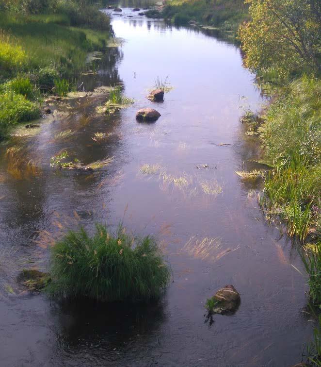 Rinnekoti Säätiön puhdistamolta Lakistonjokeen viime vuosina tullut jätevesimäärä (2,5-4 l/s) on ollut niin pieni, että hyvin puhdistettuna se ei ole kuin poikkeuksellisesti heikentänyt Lakistonjoen