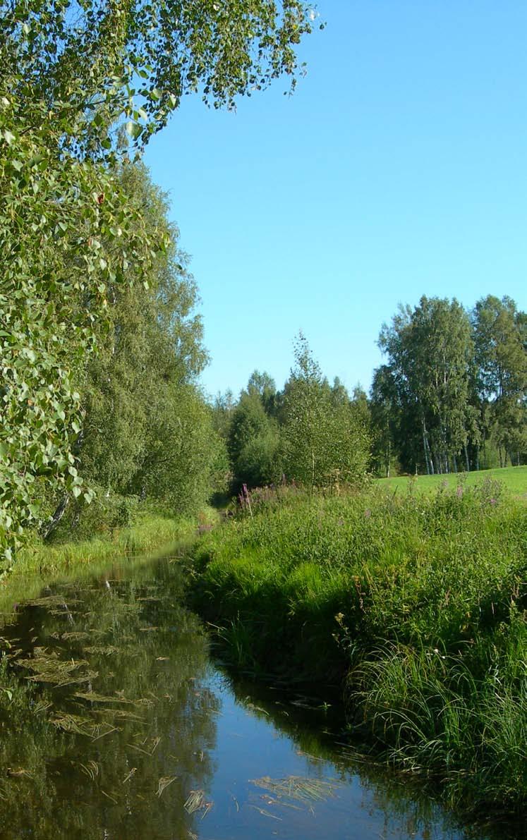 Tampereen yliopisto Tampereen yliopiston Normaalikoulu sai keväällä 2018 Kokemäenjoen vesistön vesiensuojeluyhdistykseltä lahjoituksena järvitaimenen mätiä.