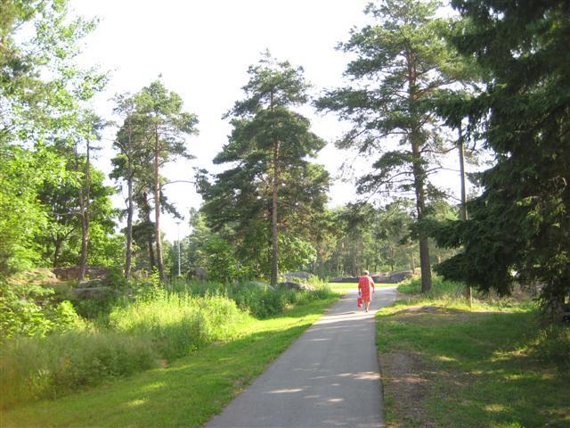 TOTEUTUSSUUNNITELMA VUOSILLE