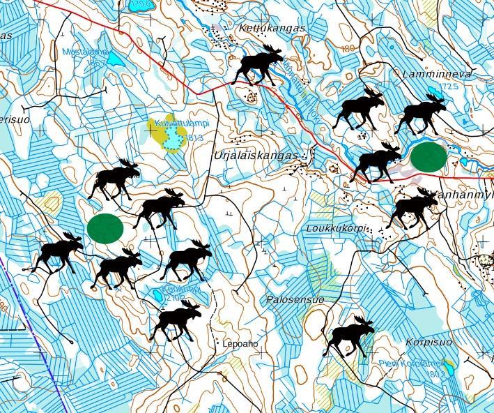 4. Metsänhoidolliset keinot vahinkojen vähentämiseksi Hirvien talvilaidunalueilla metsänhoidolla voidaan vaikuttaa hirvivahinkojen syntymiseen kahdella tavalla: pitämällä kasvatettava puulaji