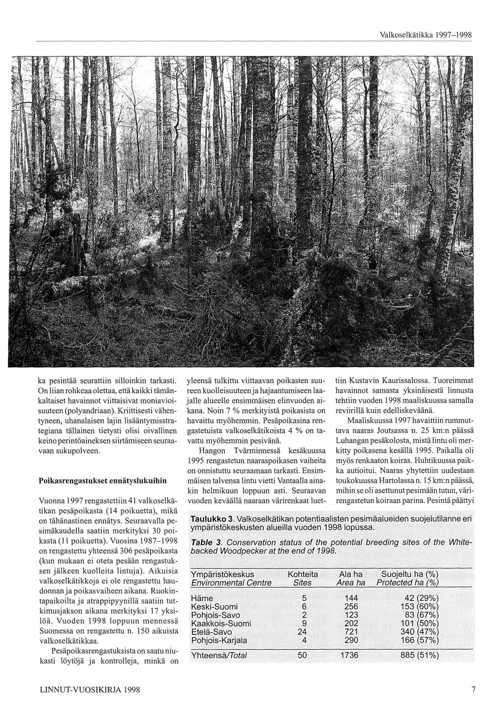 Valkoselkätikka 997-998 ka pesintää seurattiin silloinkin tarkasti. On liian rohkeaa olettaa, että kaikki tämänkaltaiset havainnot viittaisivat moniavioisuuteen (polyandriaan).