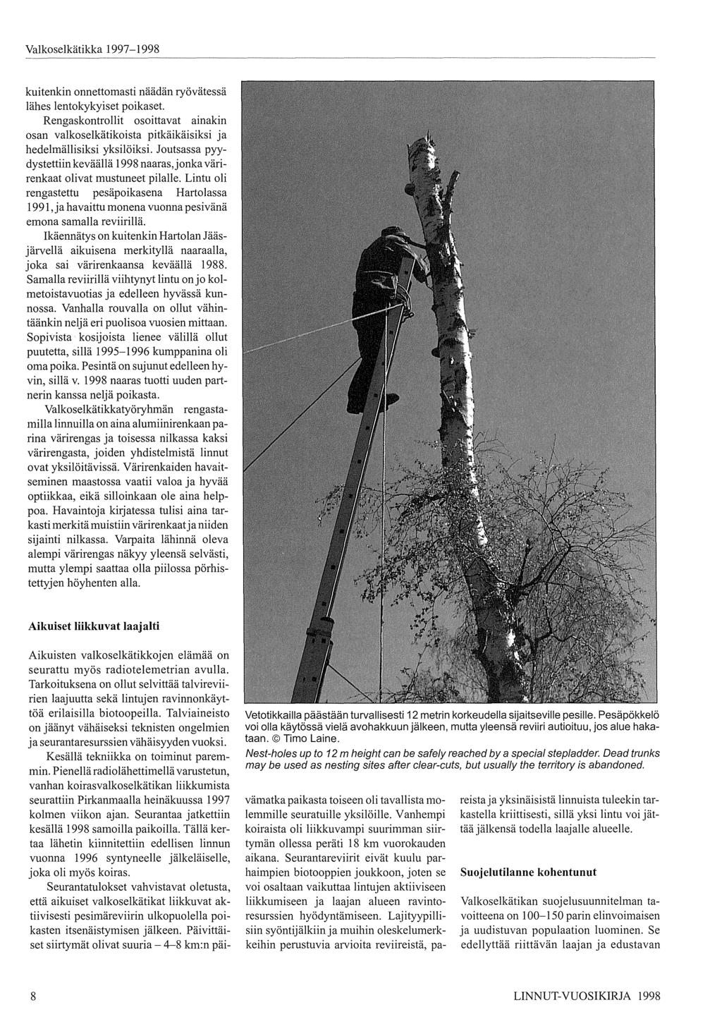 Valkoselkätikka 997-998 kuitenkin onnettomasti näädän ryövätessä lähes lentokykyiset poikaset. Rengaskontrollit osoittavat ainakin osan valkoselkätikoista pitkäikäisiksi ja hedelmällisiksi yksilöiksi.