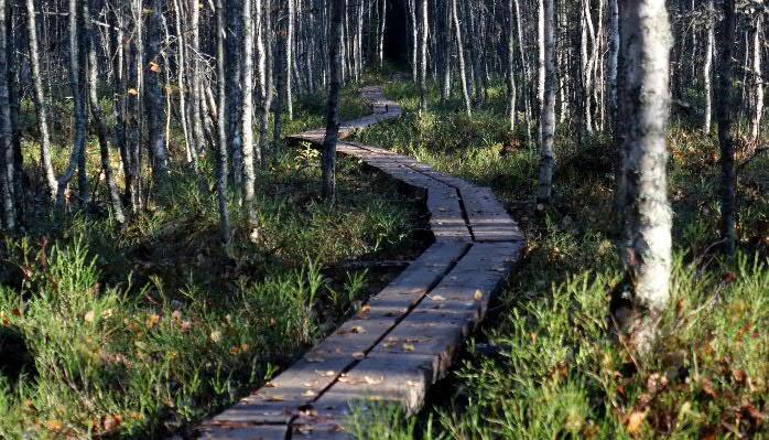 Ulkoilureittisuunnitelma ja -toimitus reittienteon