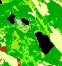 NDVI