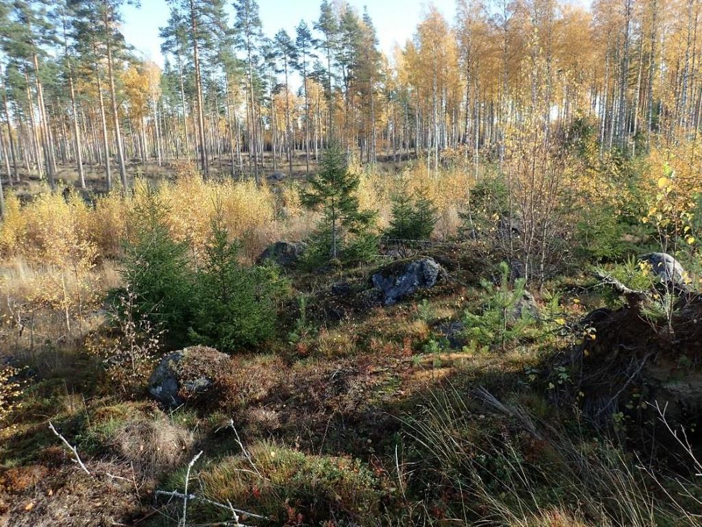 rinnevarjostus kartasta näkee selvästi alueiden