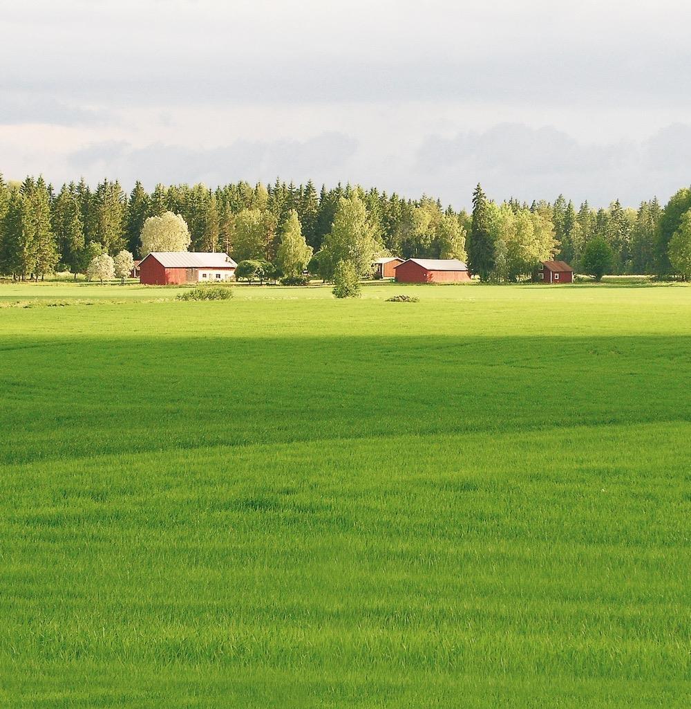 KOHTI HIILINEUTRAALIA MAITOA Valio CARBO nurmisiemenseokset hiilensidontaan Kehitimme pohjoisiin oloihin sopivat, hiilensidontaa edistävät nurmiseokset.