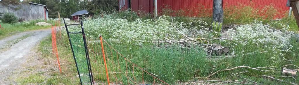 Kuva 3 Tiheämpi sähköverkkoaita on