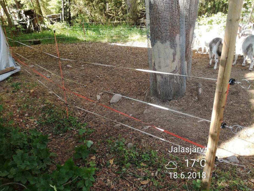 Kuva 4 Kevyemmillä aitatolpilla