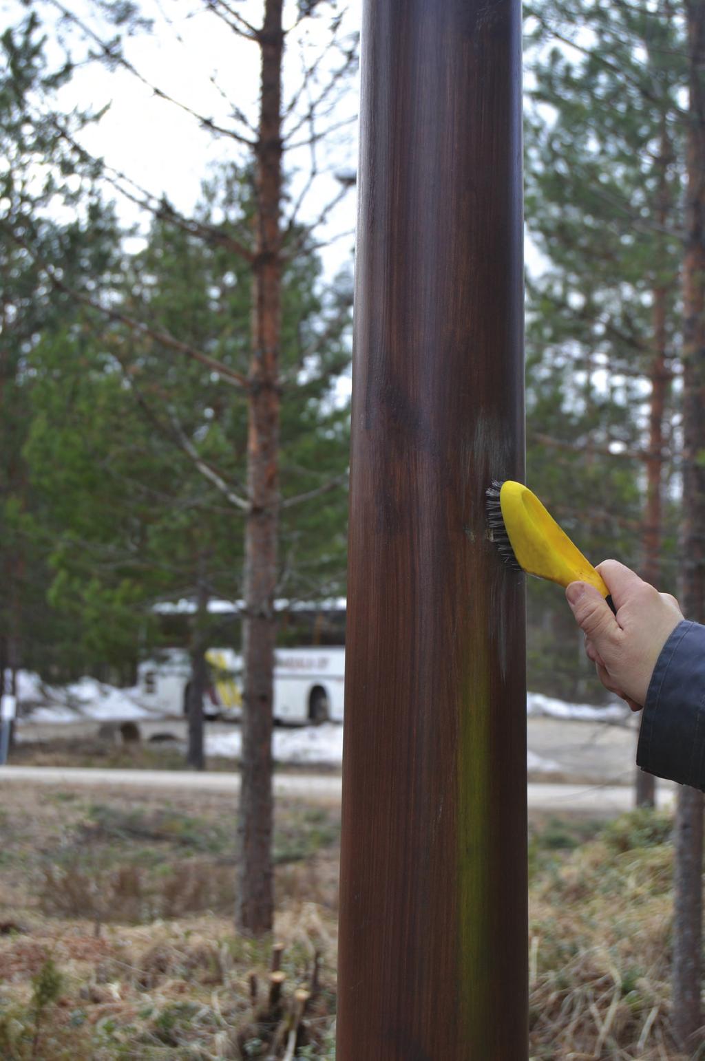 PUUPYLVÄÄN UUDELLEENKÄSITTELY Uudelleenkäsittely tulee suorittaa, mikäli alkuperäistä suositeltua huolto-ohjeistusta ei ole noudatettu.