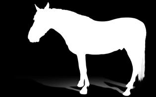 Jos hevosella epäillään metabolista oireyhtymää, on hevosta tutkittava myös mahdollisen hevosten cushingin taudin Insuliinin säätelyhäiriö insuliiniresistenssi ja insuliinin