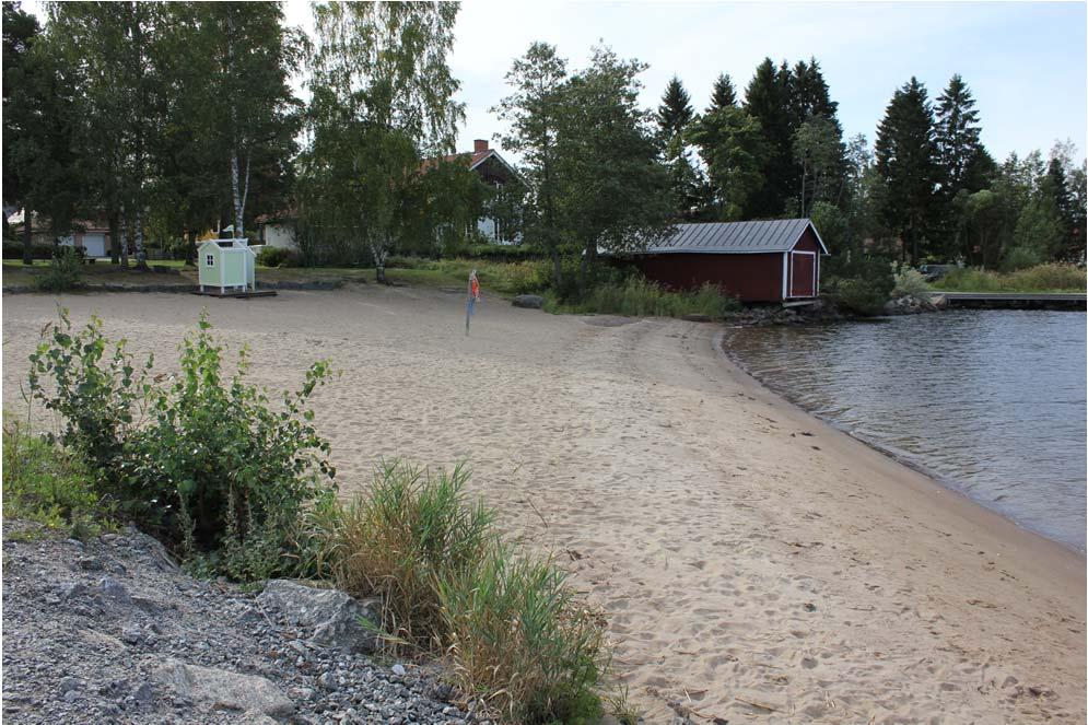 29 käy parhaimmillaan 250. Rannalla on kävijöitä kaikkina vuorokauden aikoina.