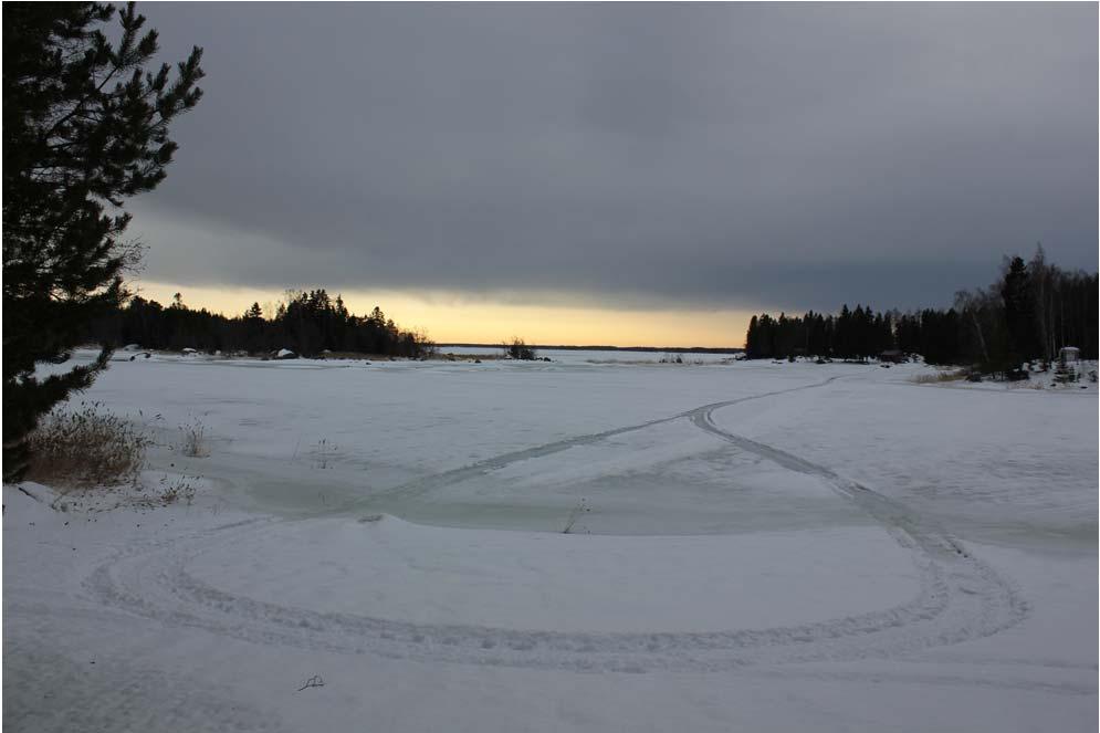 soveltuvat maisemaan.