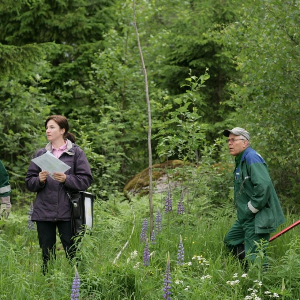 Lunastustoimituksen eteneminen Alkukokous > Haltuunotto > Rakennustyöt > Jatkokokous > Loppukokous Haltuunotto on toimituksen vaihe, jonka päätteeksi annetaan päätös: Haltuunotettavasta alueesta