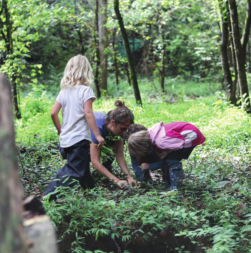 METSÄNVÄKEÄ ETSIMÄSSÄ - OMATOIMIPAJA Kohderyhmä: kaikille Metsänväkeä etsimässä -omatoimipajassa ryhmä tutkii yhdessä lähiluontoa: pintoja, muotoja ja metsänväen kotikoloja.