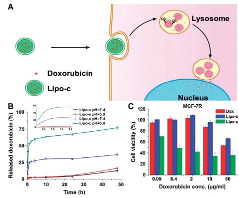 Sisäiset mekanismit - ph ph herkkä liposomi, joka kuljetaa doksorubisiinia ja vapautuminen tapahtuu