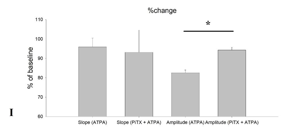 Figure 5. A) Example fepsp traces from left to right: baseline, ATPA (1 µm), superimposed. B) Effects of ATPA on fepsp amplitude (n = 3).