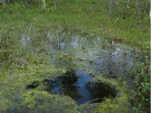 BOREAL BIOREF YVA-selvitys ja ympäristöluvat