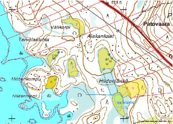 Kuva 3. Hankealueen luontokohteet on esitetty keltaisilla aluerajauksilla. Kuva luontoselvityksestä ERP Lumi ja turve 2015.