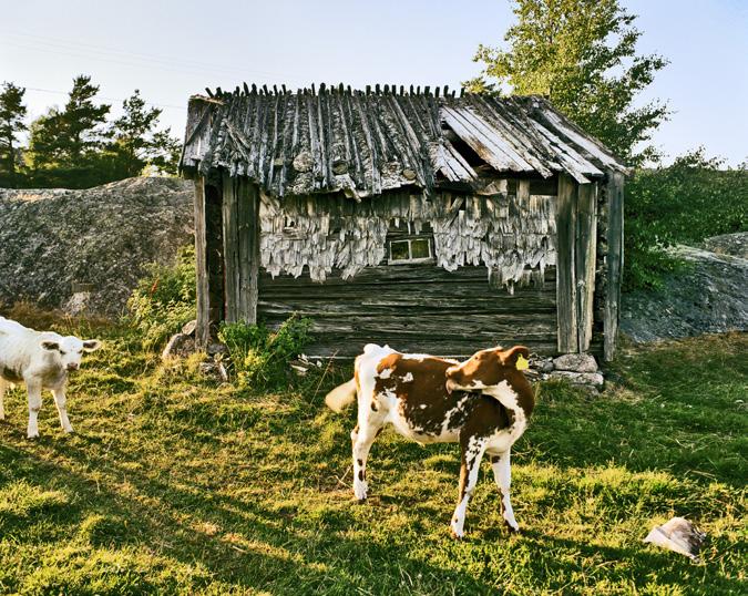 Toisaalta merenalainen maailma on koettu myös paratiisimaiseksi paikaksi, jonka korallitarhoissa elää toinen toistaan loistokkaampia mereneläviä.