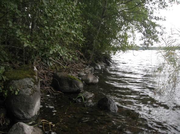 Kenttäalueet rajautuvat pohjavesialtaisiin ja imeytyskenttiin, vesilaitoksen rakennuskantaa ja hoidettuja pihapiirejä sijoittuu altaiden pohjoispuolelle Saimaan rantaan rajautuvalle alueelle.
