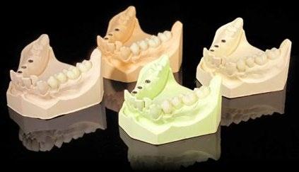 brown Ø 98,5 x 25mm, Polident 29,40 Full denture A3 Ø 98,5 x 30mm,