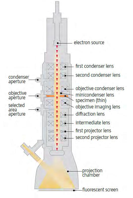 37 Figure 24: A TEM instrument uses multiple condenser lenses and apertures. The condenser lens system is above the sample and the objective lenses are below the sample.