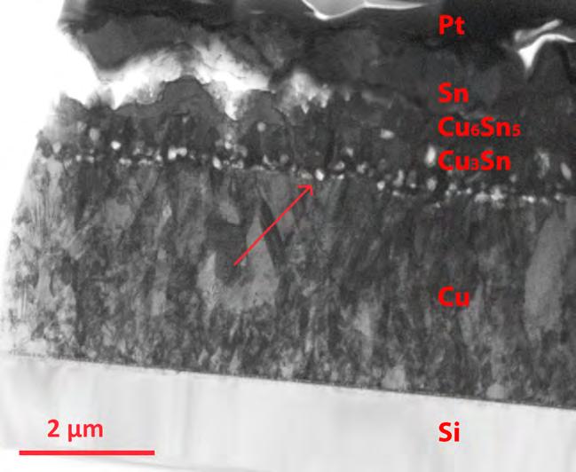 Figure 49: An overview of the sample SPS annealed (A-2) imaged by