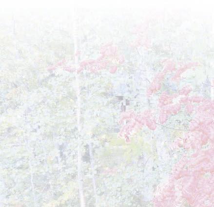 Hietasaari Hietasaarentie 128, 41240 Kyynämöinen hietasaari@co.inet.fi Luonnonkaunis, erittäin rauhallinen alue.