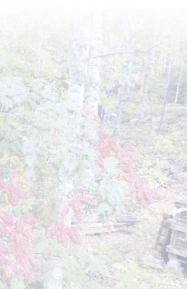 grillikota tiskipaikka uusi monitoimikeittiö uimarannat talvisin avanto kalastusmahdollisuus kemssan tyhjennyspaikat