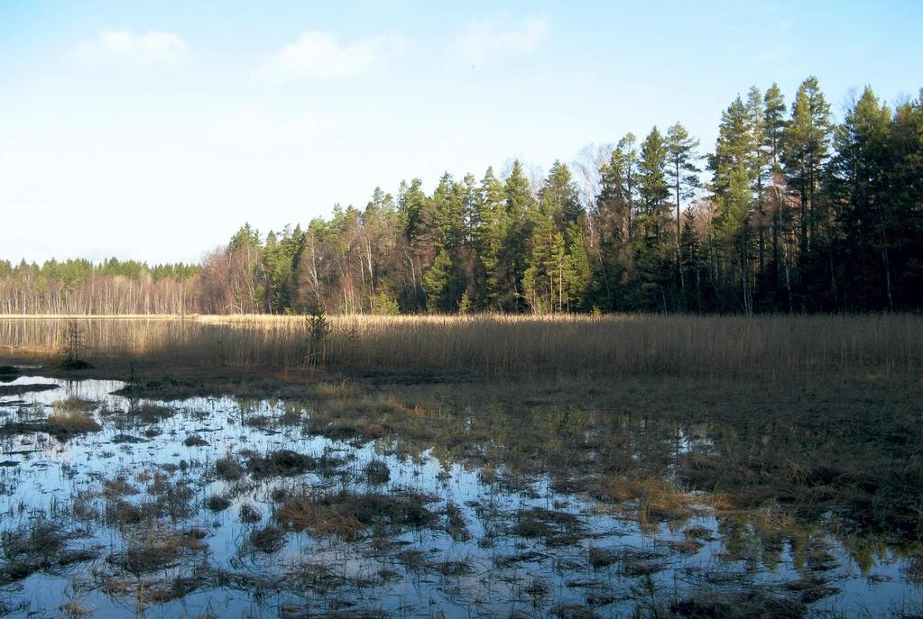 reitä mäntyjä sekä lisäksi koivuja ja kuusia. Lahopuuta on paikoitellen. Aluskasvillisuudessa on lehtomaisen kankaan lajistoa.