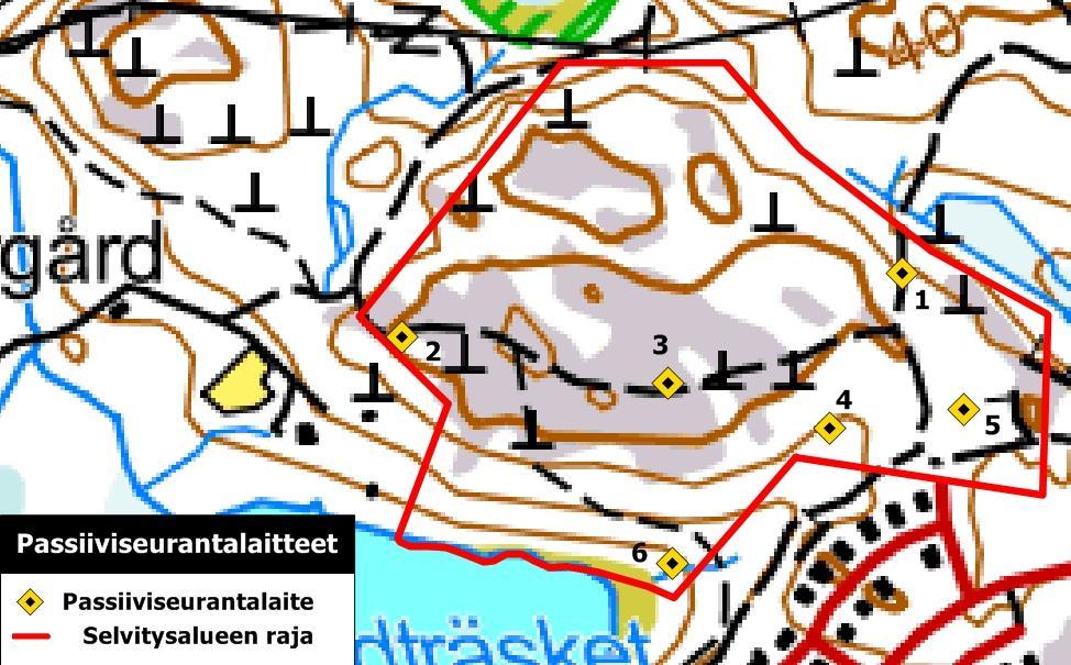 Lepakoita ei aina pystytä määrittämään lajilleen ääni- ja näköhavaintojen perusteella.