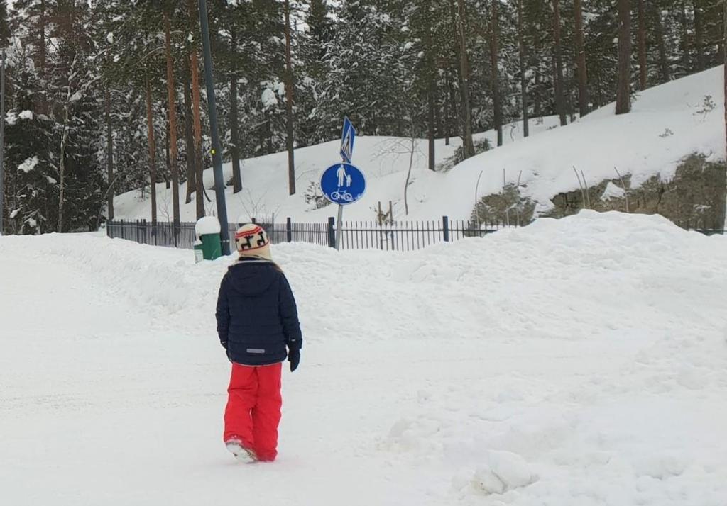 Tilannetietoisuus liikenteessä + kognitiivinen tarkkaamattomuus Kognitiivinen tarkkaamattomuus/kuormitus heikentää Taso 1, havaitseminen Esim.