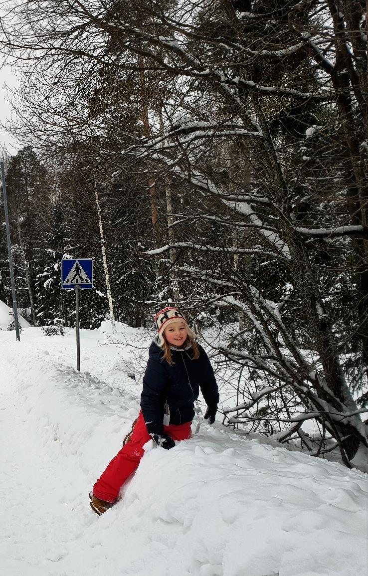 Lapset liikenteessä Lasten kokemattomuus liikenteestä sekä kehittymättömät kognitiiviset ja motoriset taidot altistavat riskeille liikenteessä Lisäksi lasten pieni koko ja ennakoimaton käytös lisää