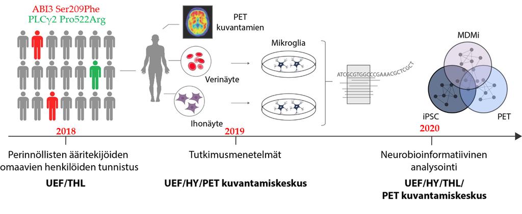 käyttösovellutuksia yksilöllistetyssä lääketieteessä Testataan PET-aivokuvantamisen mahdollisuuksia erotella korkean riskin omaavia henkilöitä mikrogliaspesifisten tautimekanismien kautta