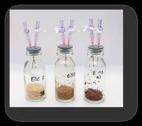 1 1 = dilution of 1-1 g of inoculum/g of substrte (dm) 1 2 = dilution of 1-2 g of