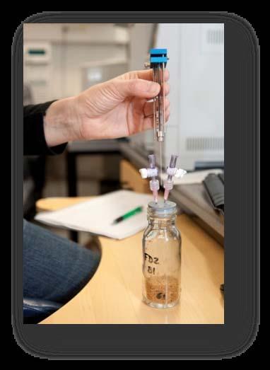 Wood decomposition: Weekly produced CO 2 mesured by gs