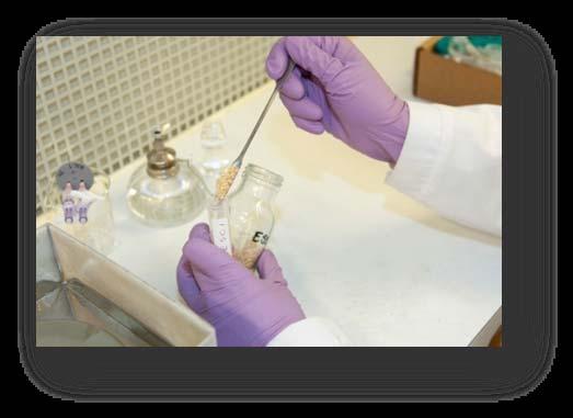 Activities of lignocellulose modifying
