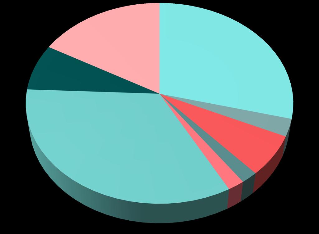 Onko Teillä käytössänne jokin laitehallintajärjestelmä?