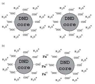 13 Figure 10, (a) Formation of a double electric layer around a DND particle in dissociation of carboxyl groups, and (b) DND particle coagulation initiated by formation of bridge bonding in the