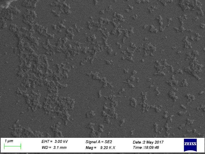 Figure 34, SEM image of
