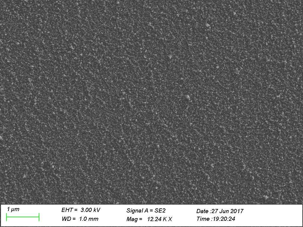 Figure 36, SEM of